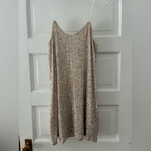 Elegant Silver Sequin Dress